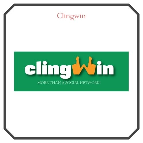 Clingwin logo image